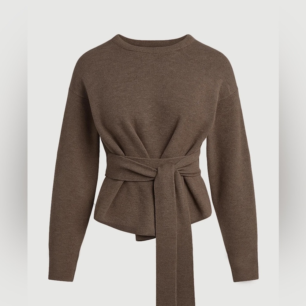 Modern Citizen Brown Sweater